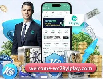 旺财28 APP 深度功能